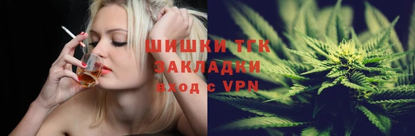 твердый Каменка