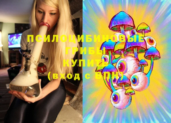 МДПВ Каменск-Шахтинский